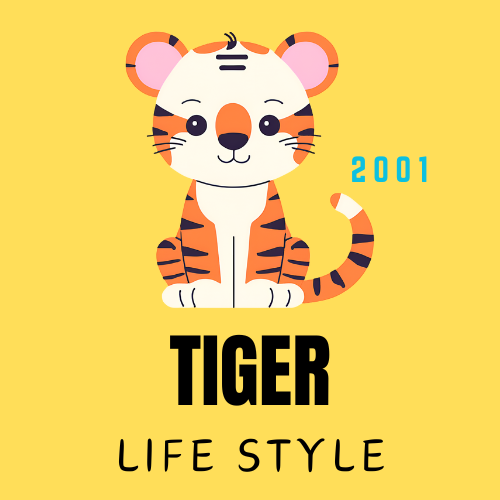 ライフスタイルの虎